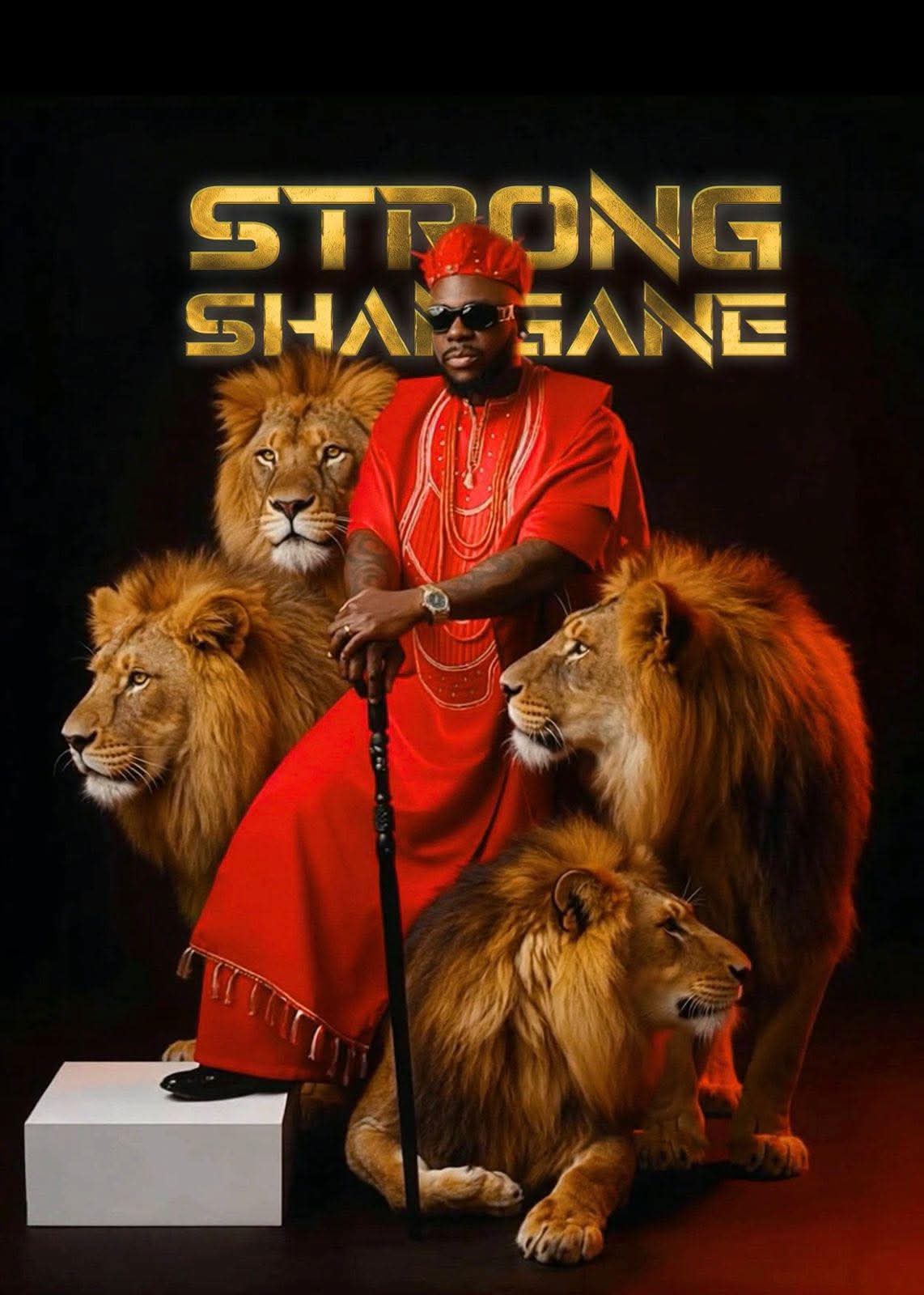Oficial: Mr Bow lançou o álbum Strong Shangane…ver mais